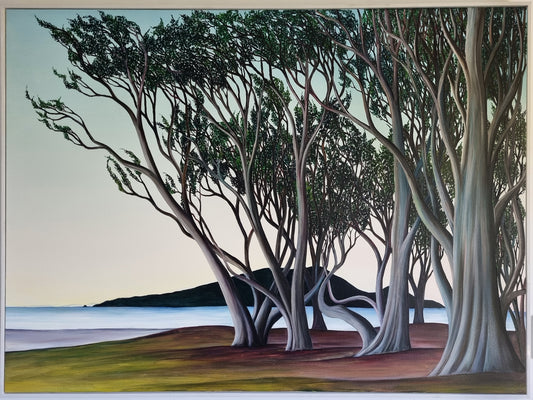 Macrocarpa on the Beach