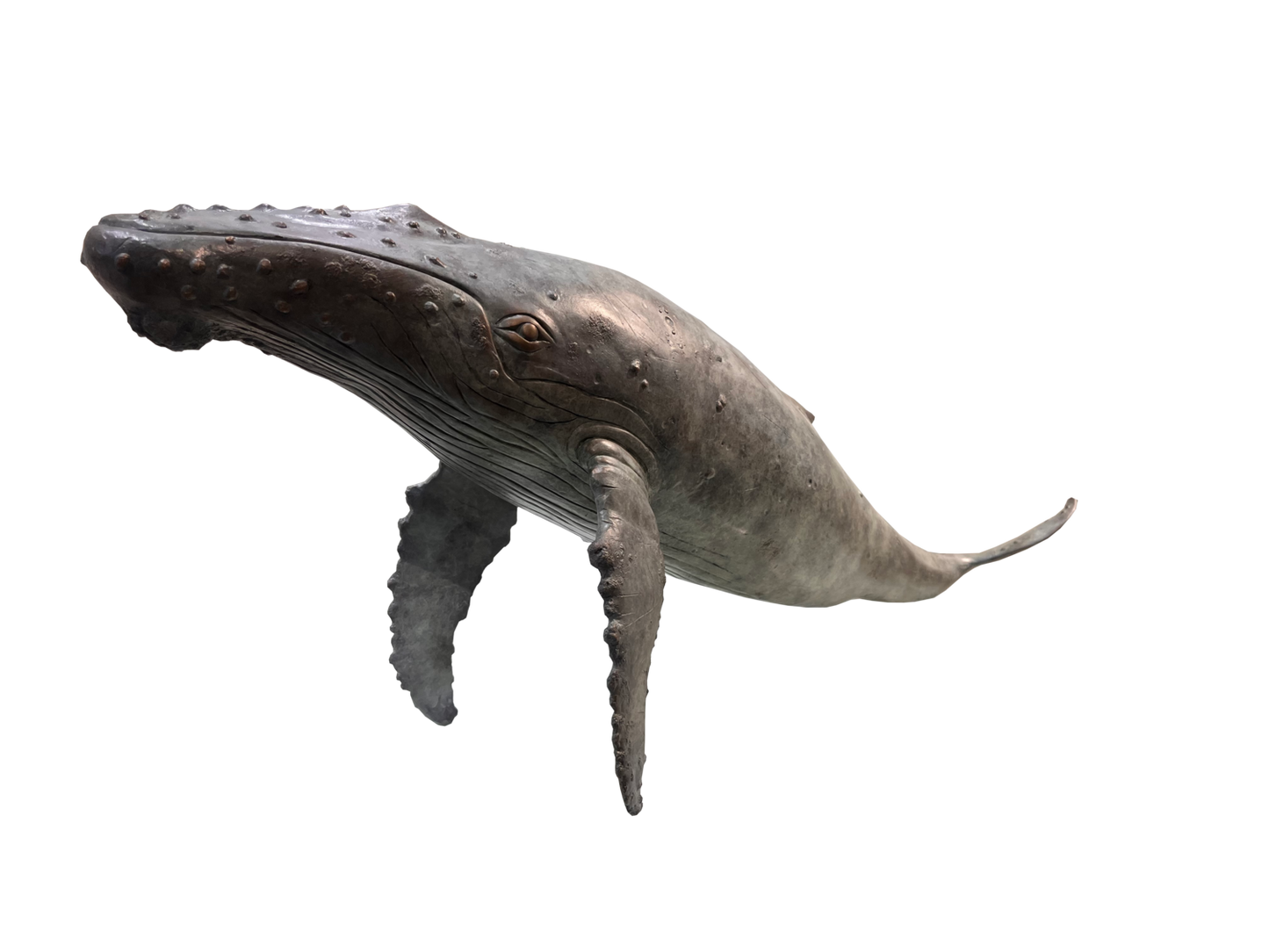 Humpback Whale - Limited Edition 1/9
