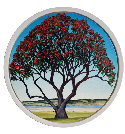 Full Bloom Coastal Pohutukawa Nov -Dec 2025 I