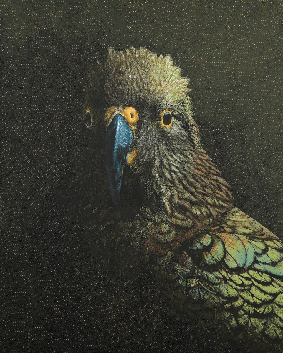 Kea - The Regal