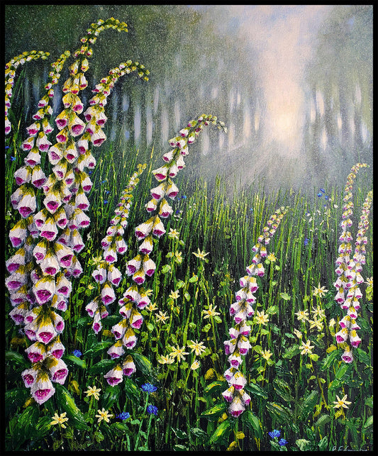 Foxgloves in the Morning