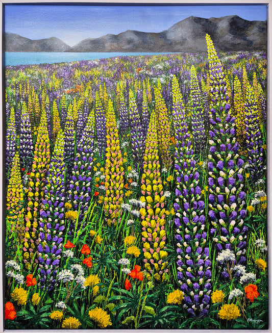 Lake Tekapo Lupins