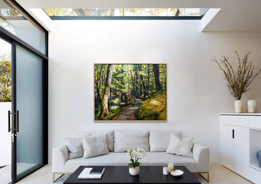 Summer Routeburn Loop Track V