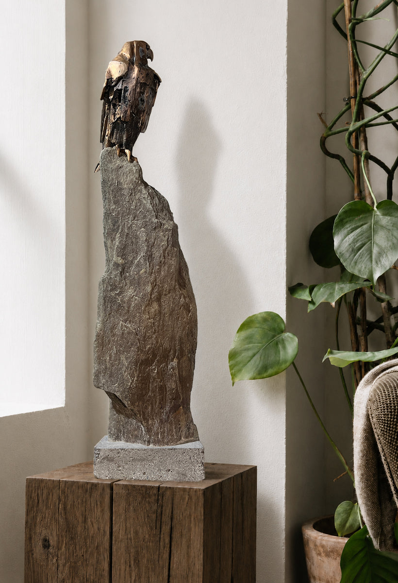 Falcon Study - Anticipation