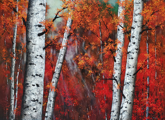 Birches Bark, Autumn Study