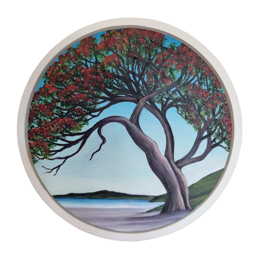 Hauraki Pohutukawa