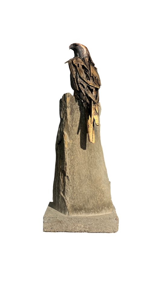 Falcon Study - Vigilance