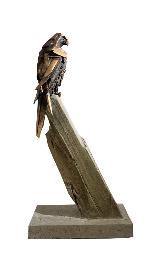 Falcon Study - Timing