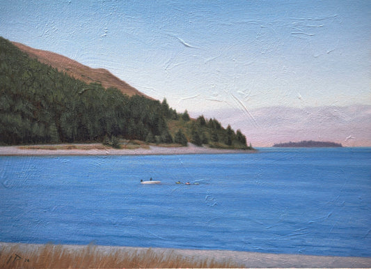 Summer on Lake Tekapo