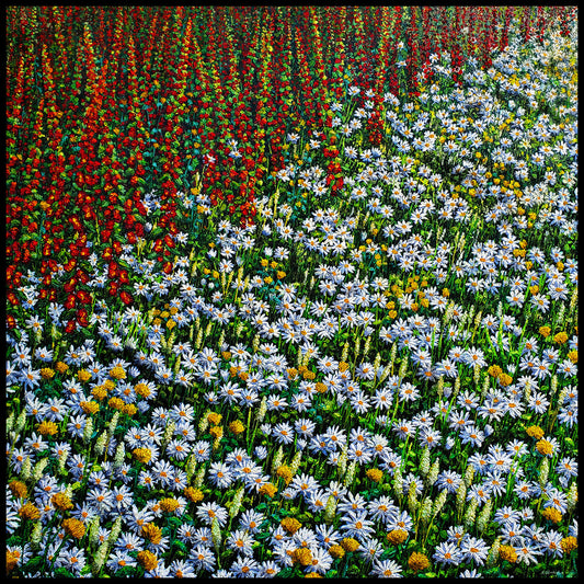 Foxgloves Marigolds and Oxeye Daisies