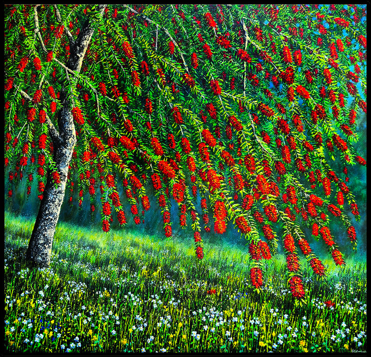Bottlebrush Tree