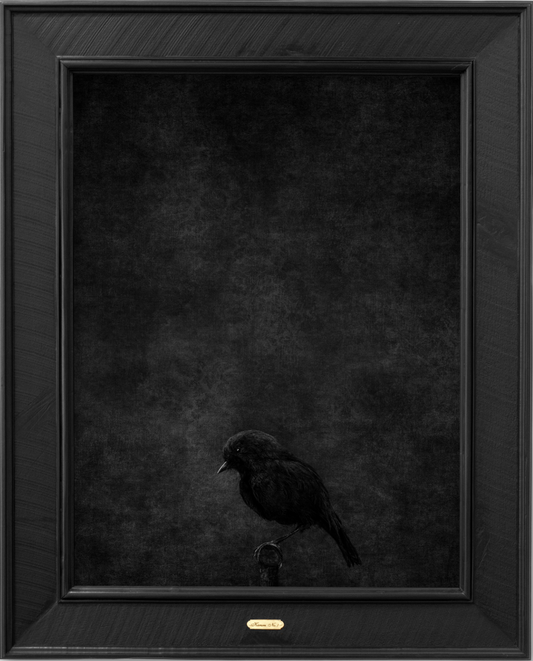 KÄrure - No.1 - Edition 3/5