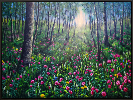 Campions in the woodlands