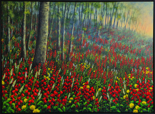 Splendens in the Meadow