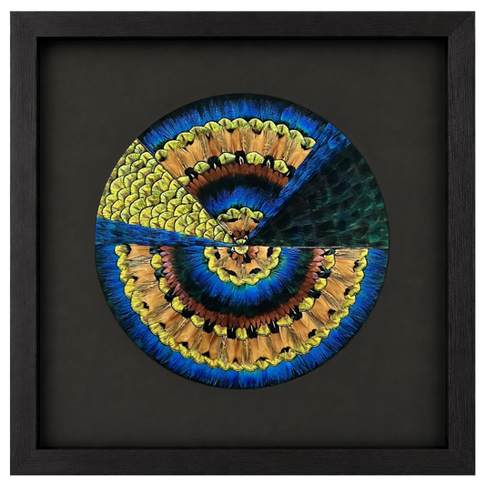 GE Mandala Coherence