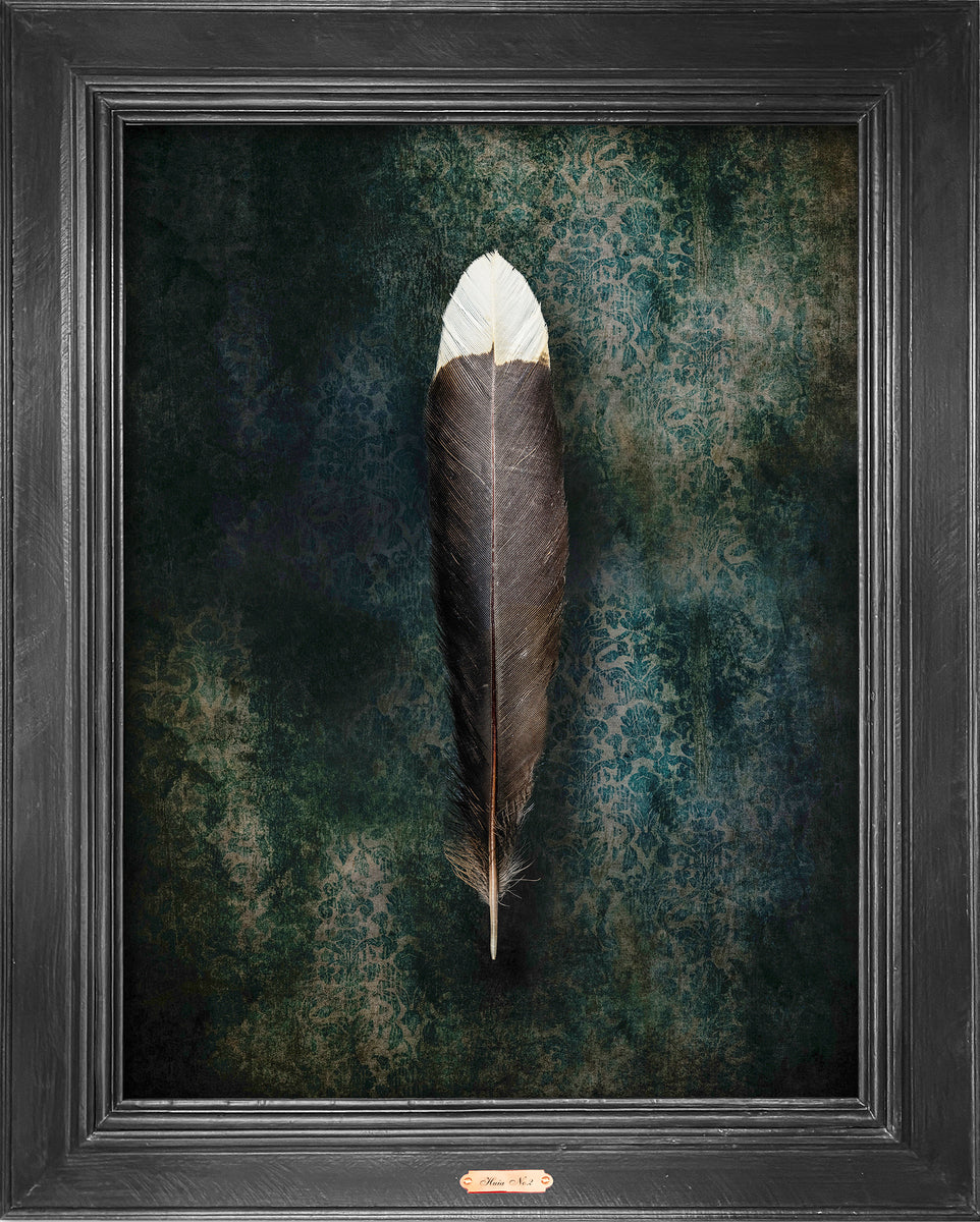 Huia No.2 - Edition 4/5