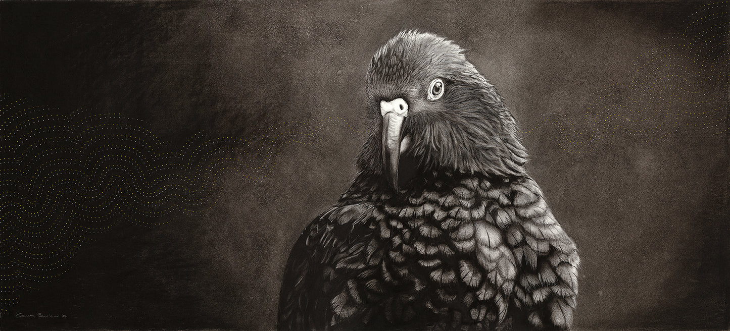 Kea Whā