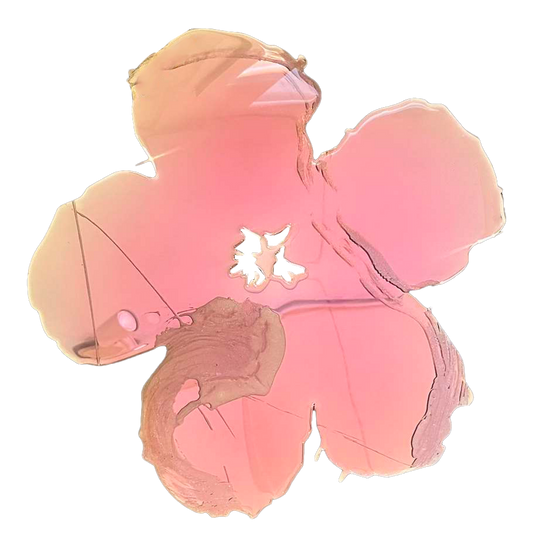 Mountain Rose
