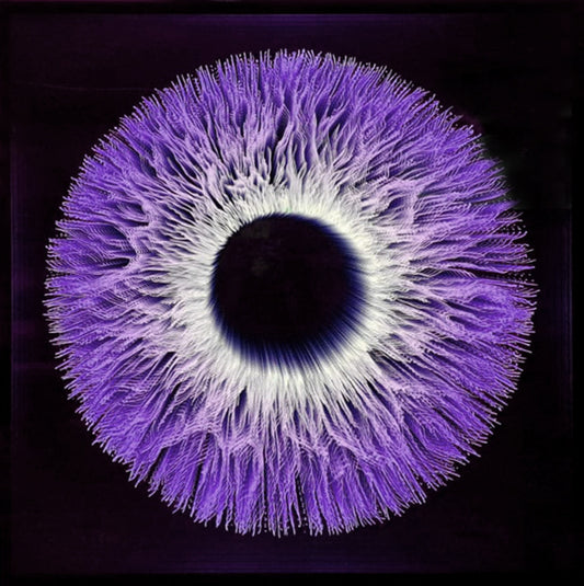 Iris 6