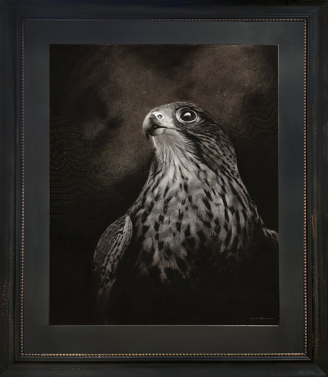 Kārearea