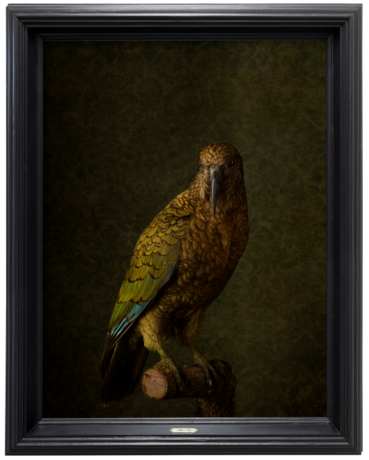 Kea No.1 - Edition 2/5