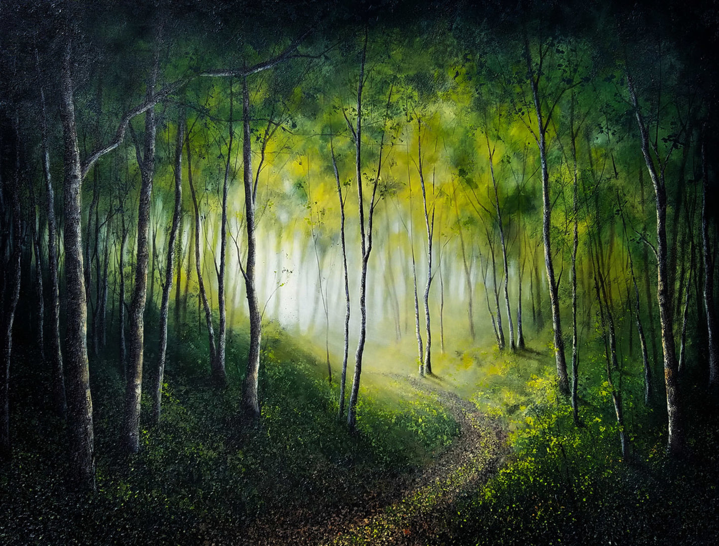 A Walk in the Woods
