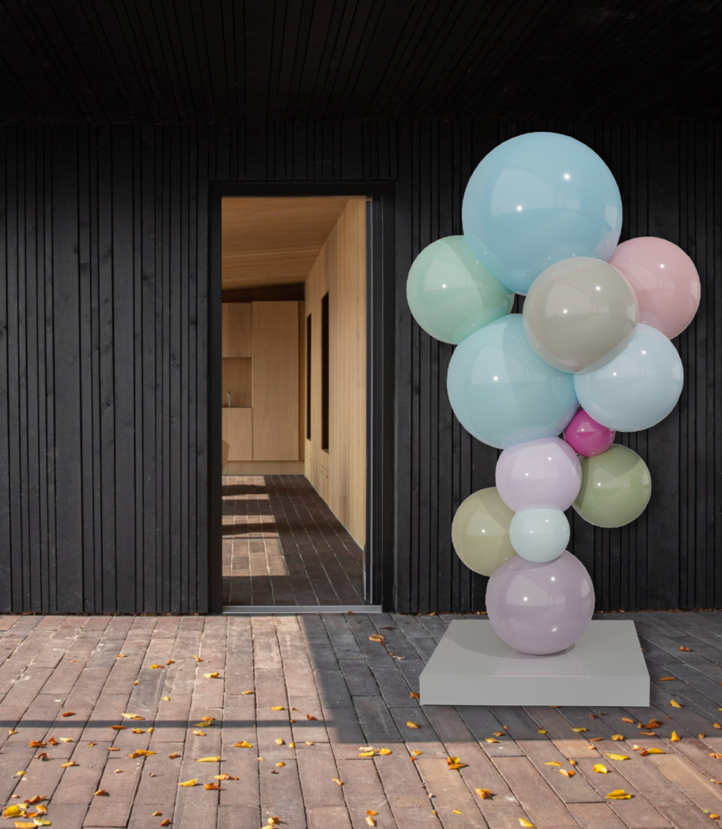 CLUSTER #005