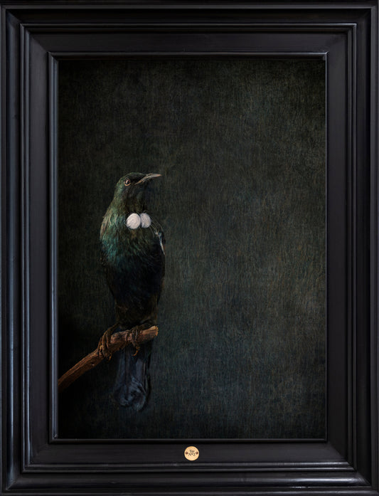 Tūī No.2 - Edition 3/5