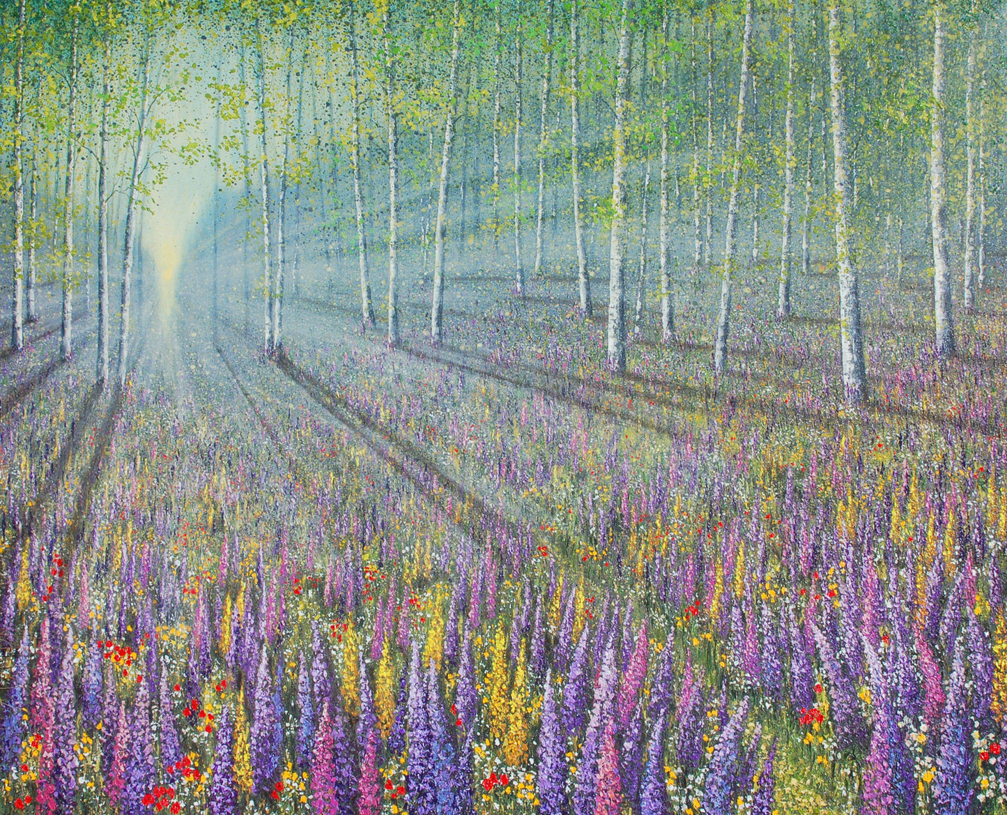 A New Sunrise A New Day