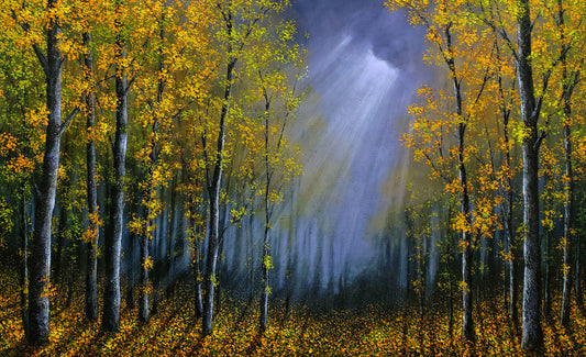 Storm Clouds Over Aspens