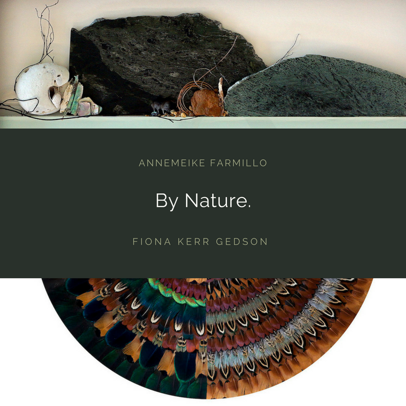 Nature framed: new art exhibition captures the best of raw New Zealand