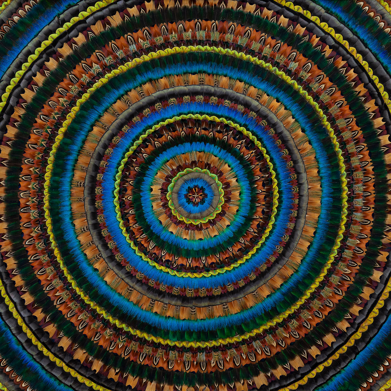 Fiona Kerr Gedson