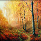 Autumn in Arrowtown