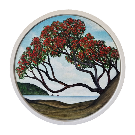 Northern Pohutukawa