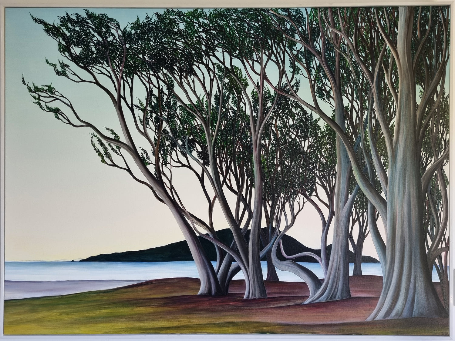 Macrocarpa on the Beach