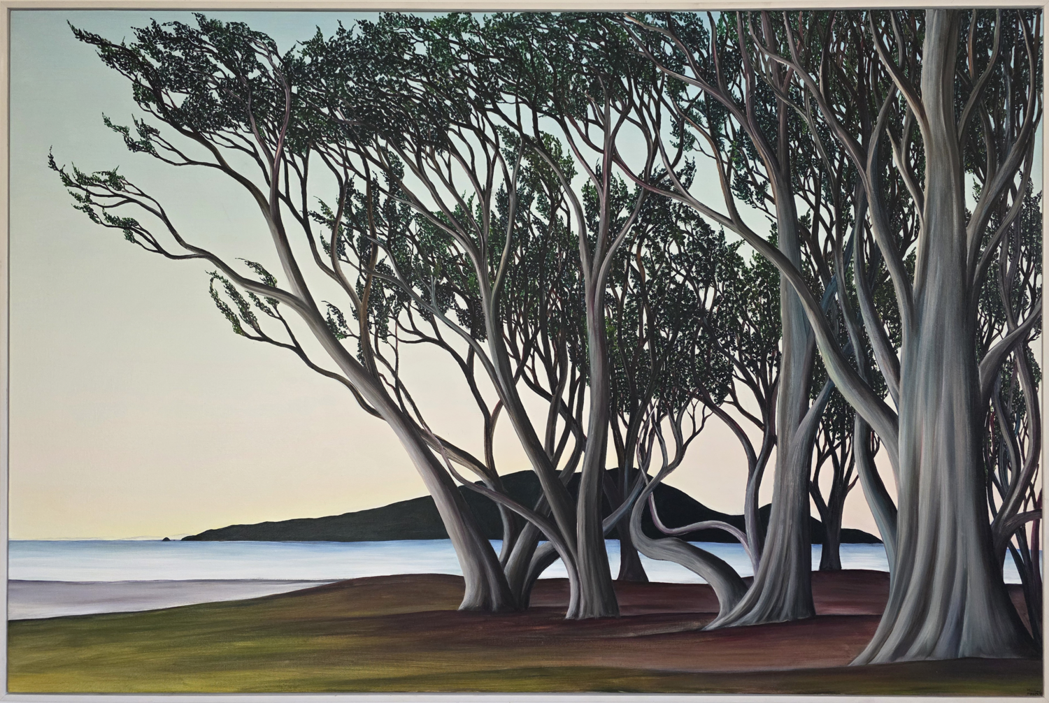 Macrocarpa on the Beach