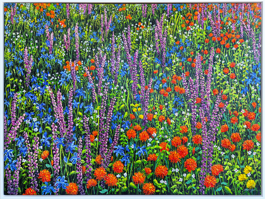 Beautiful Wildflowers