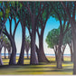 Beneath the Sacred Canopy No III