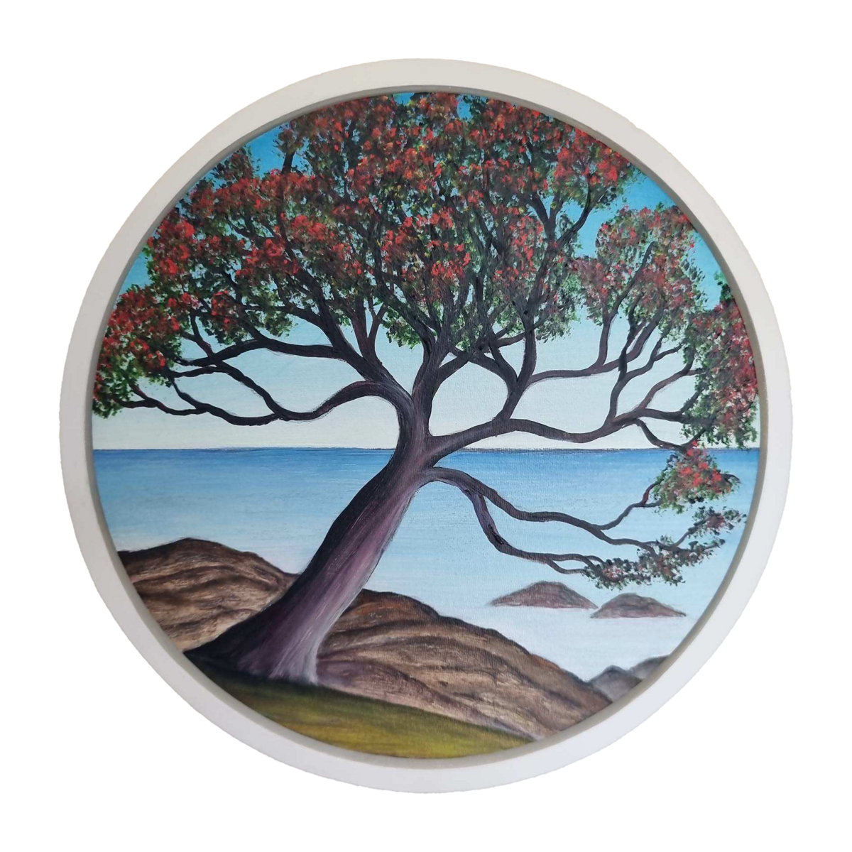 Hauraki Pohutukawa