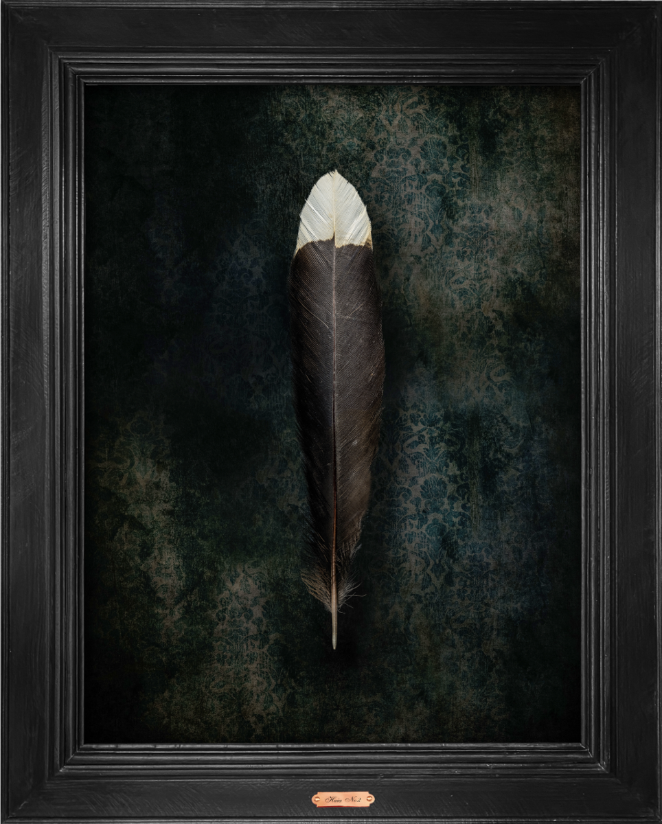 Huia No.2 - Edition 5/5
