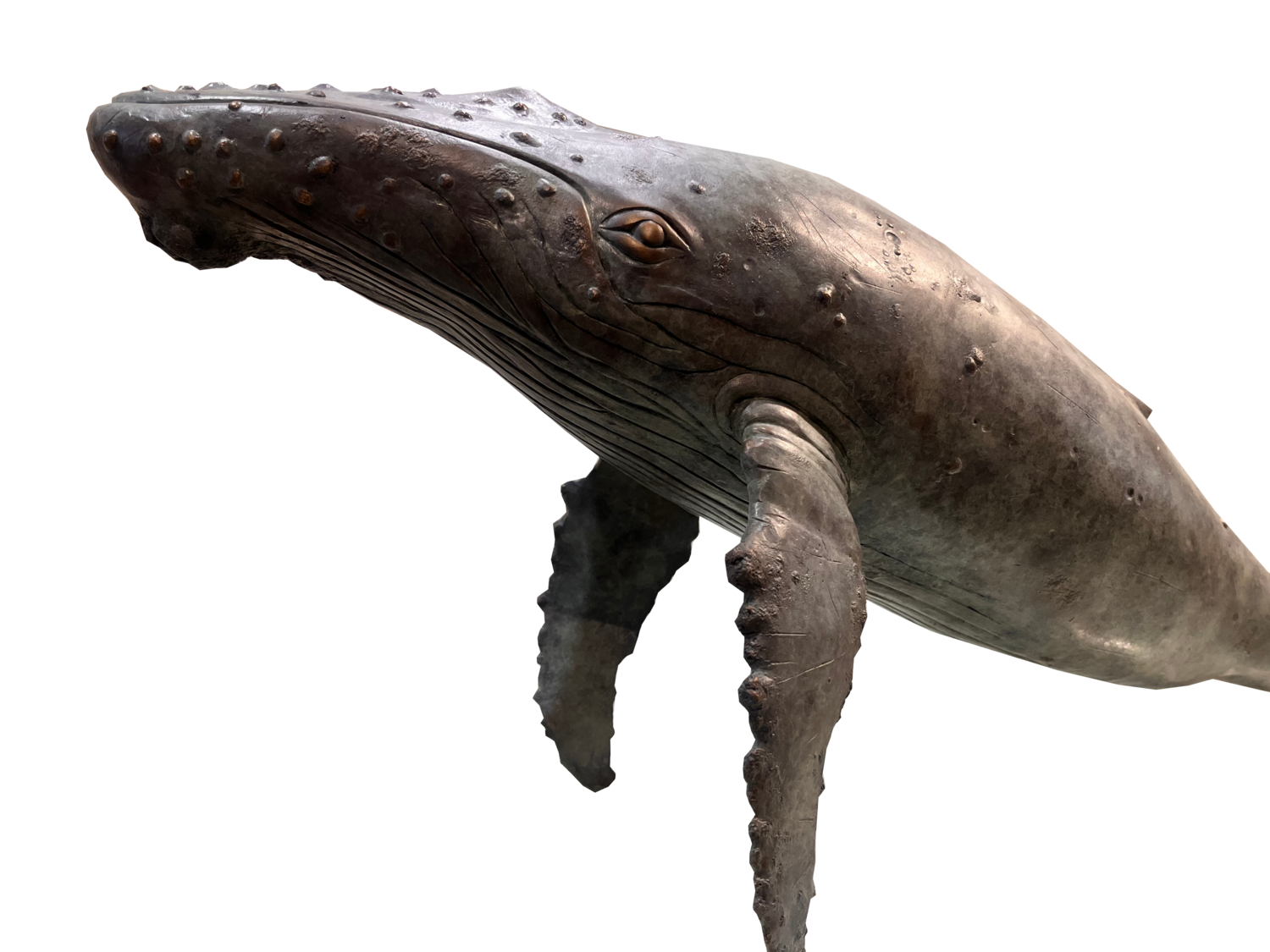 Humpback Whale - Limited Edition 1/9