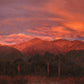 Kaikoura Sunrise