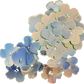 Baby Face Bunches: Blue Angel