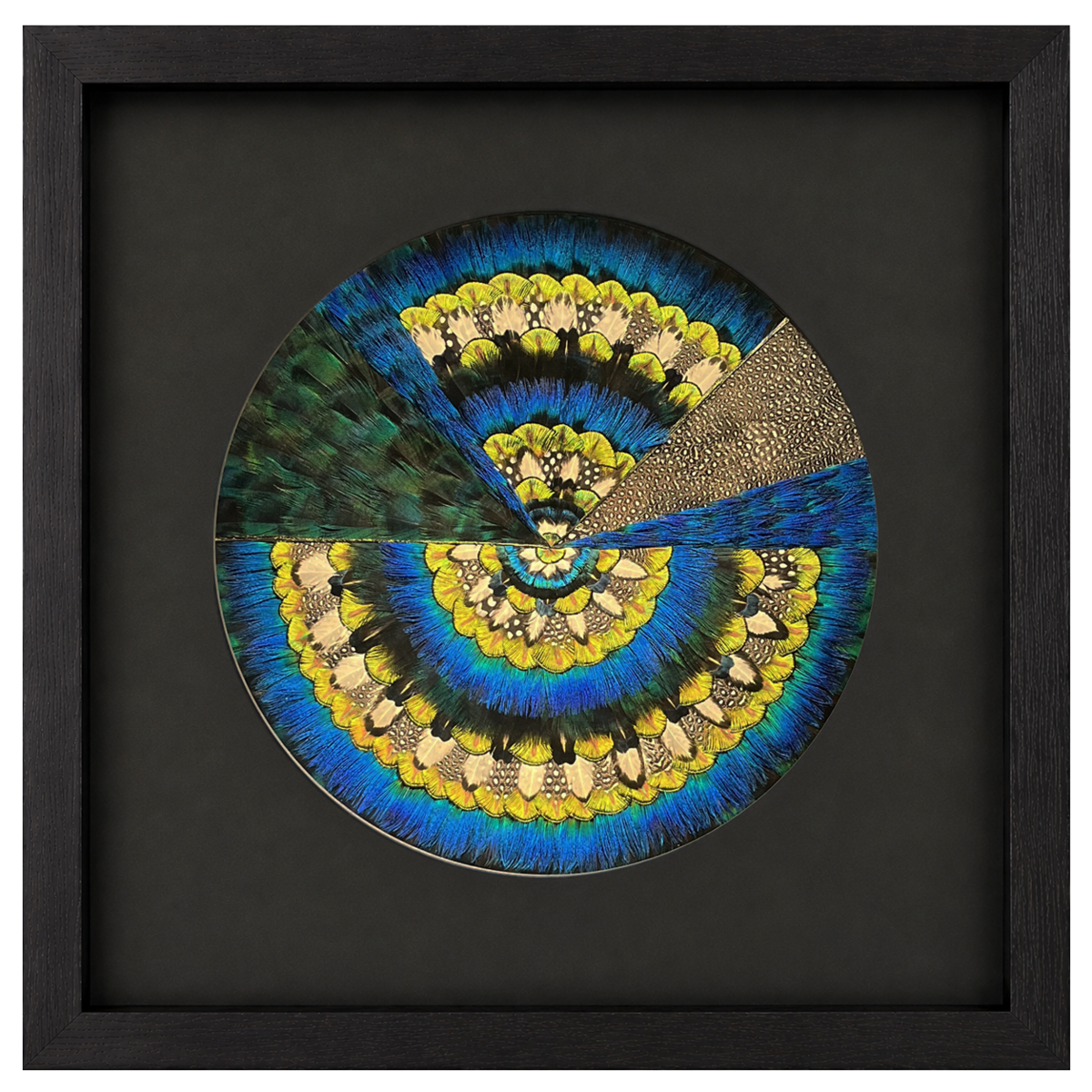 GE Mandala Hope