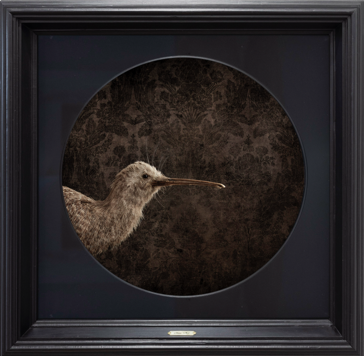 Kiwi No.1 - Edition 4/5