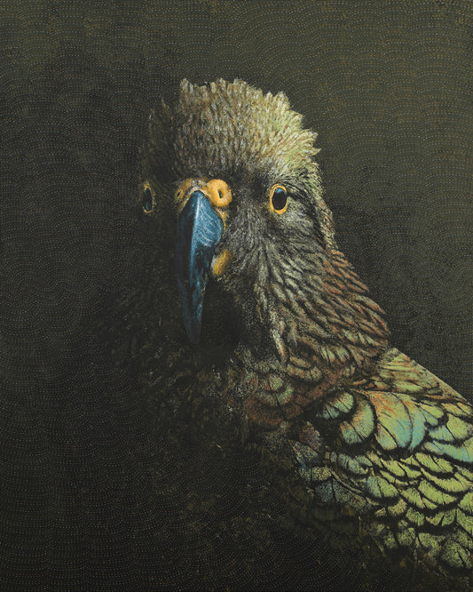 Kea - The Regal