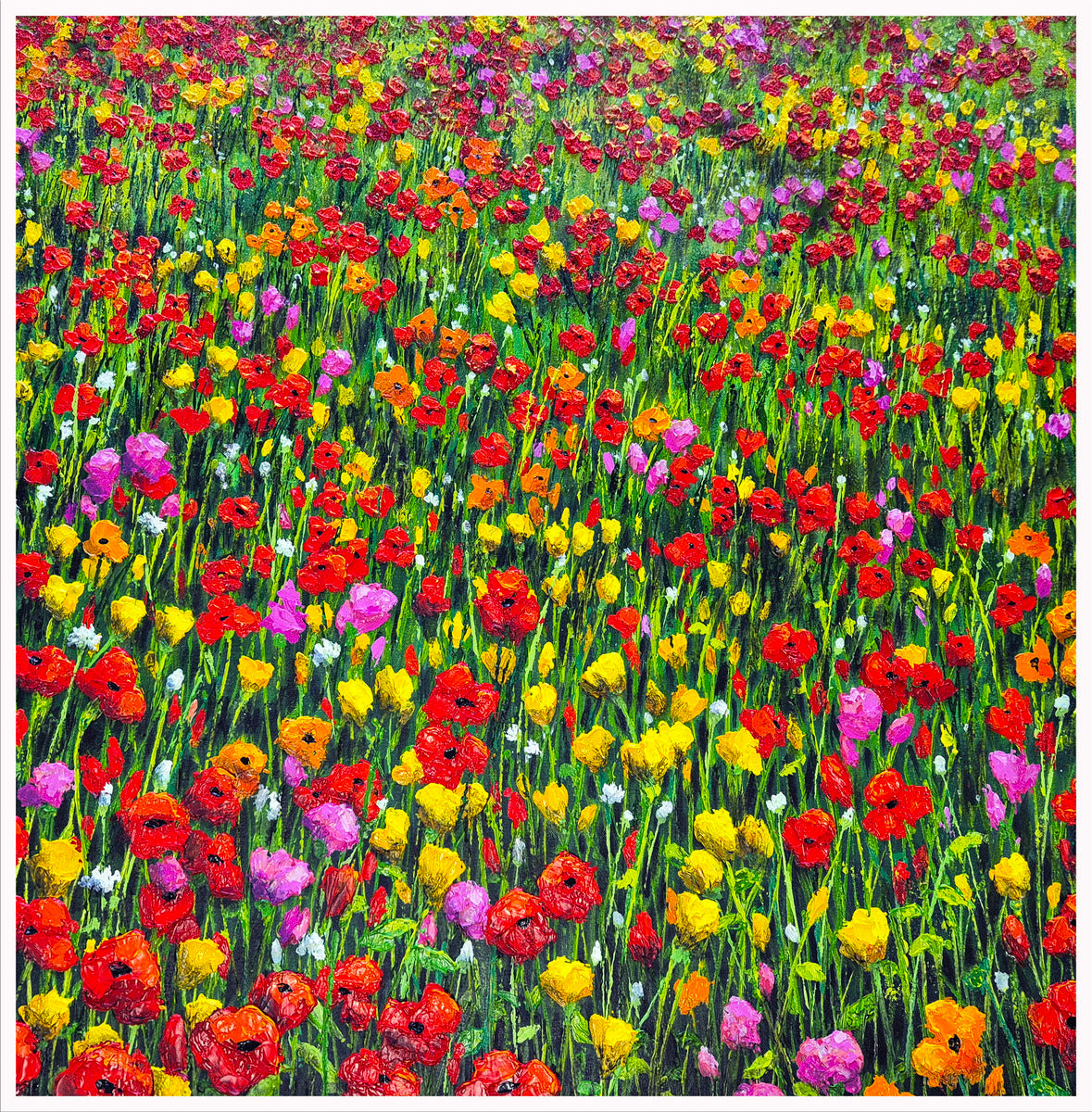 Poppies