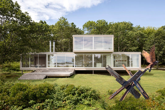 Release (Hawk in Flight)