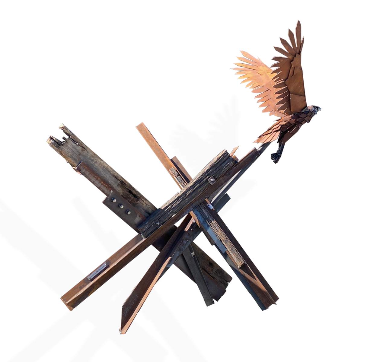 Release (Hawk in Flight)