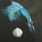 Tui - The Sage